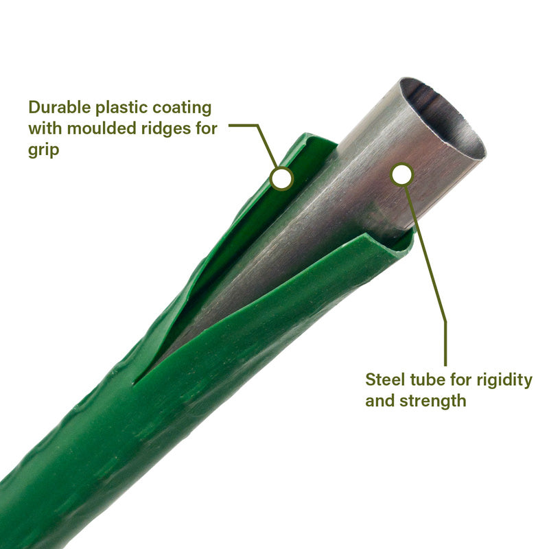 Tree Fern Anchoring System