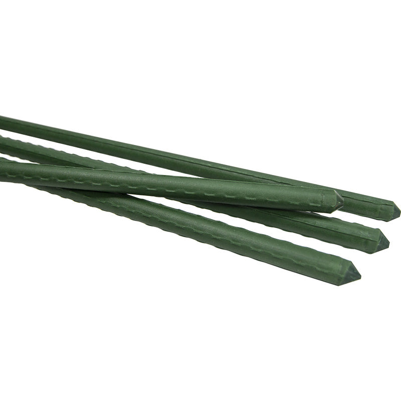 Tree Fern Anchoring System