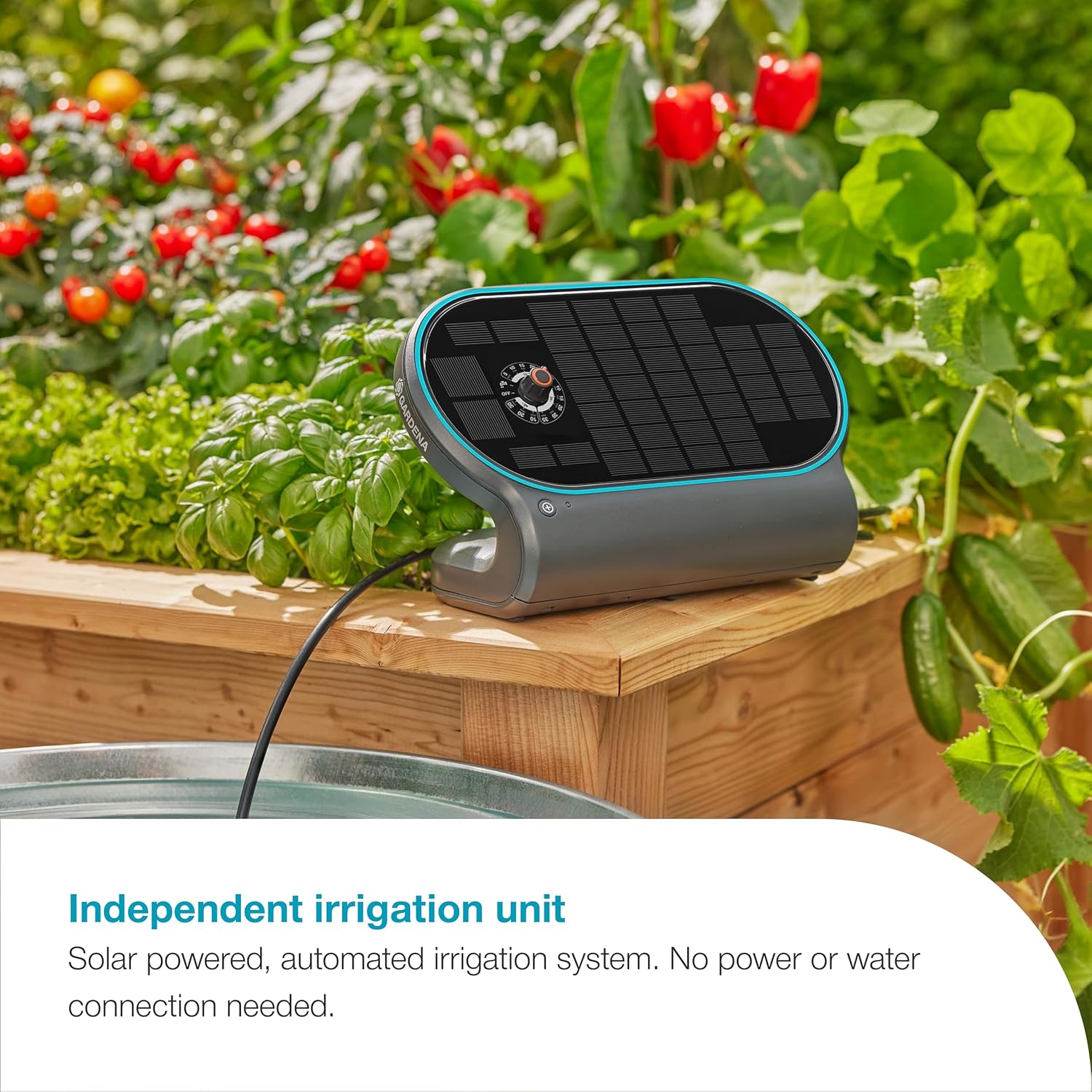 Automated Watering System