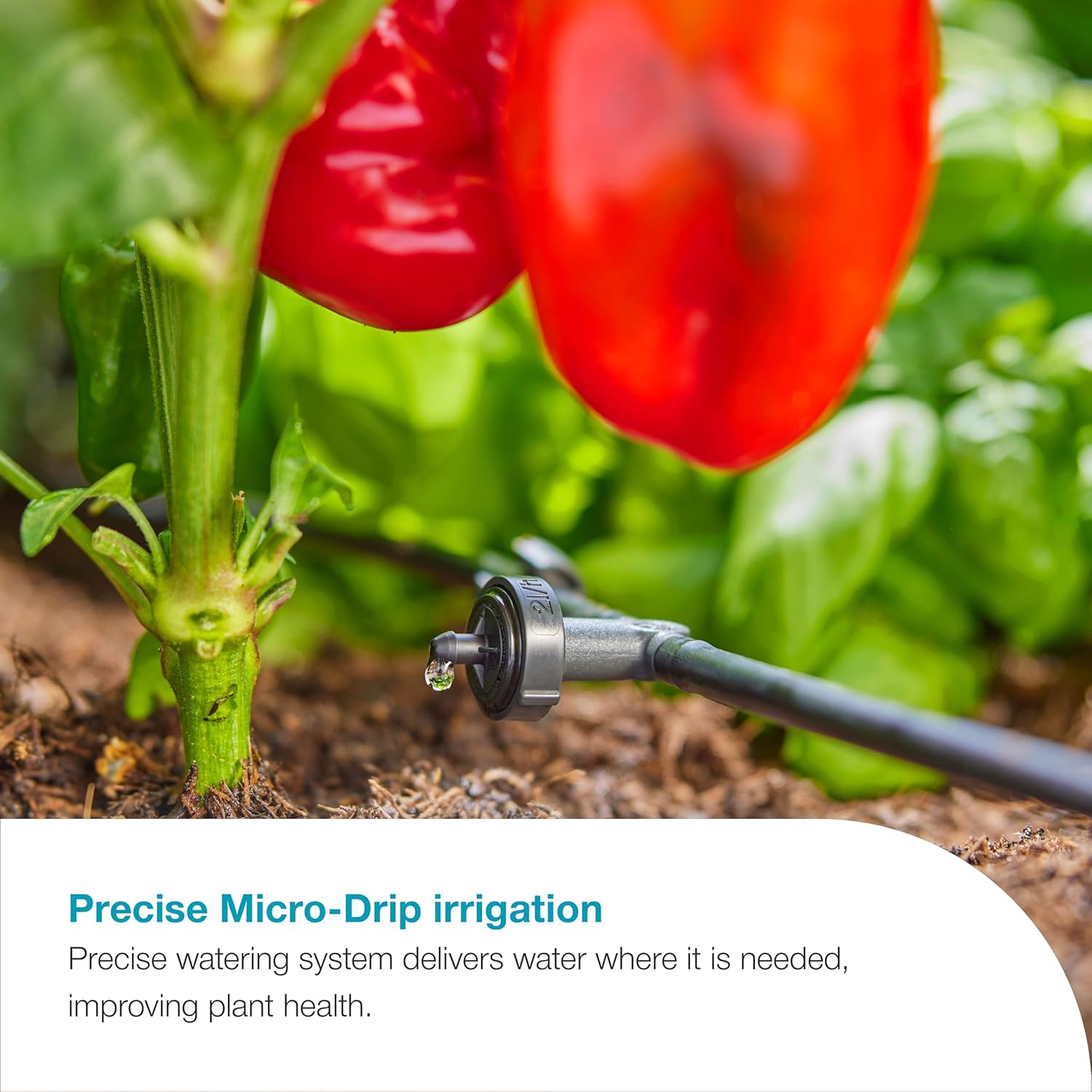 Automated Watering System