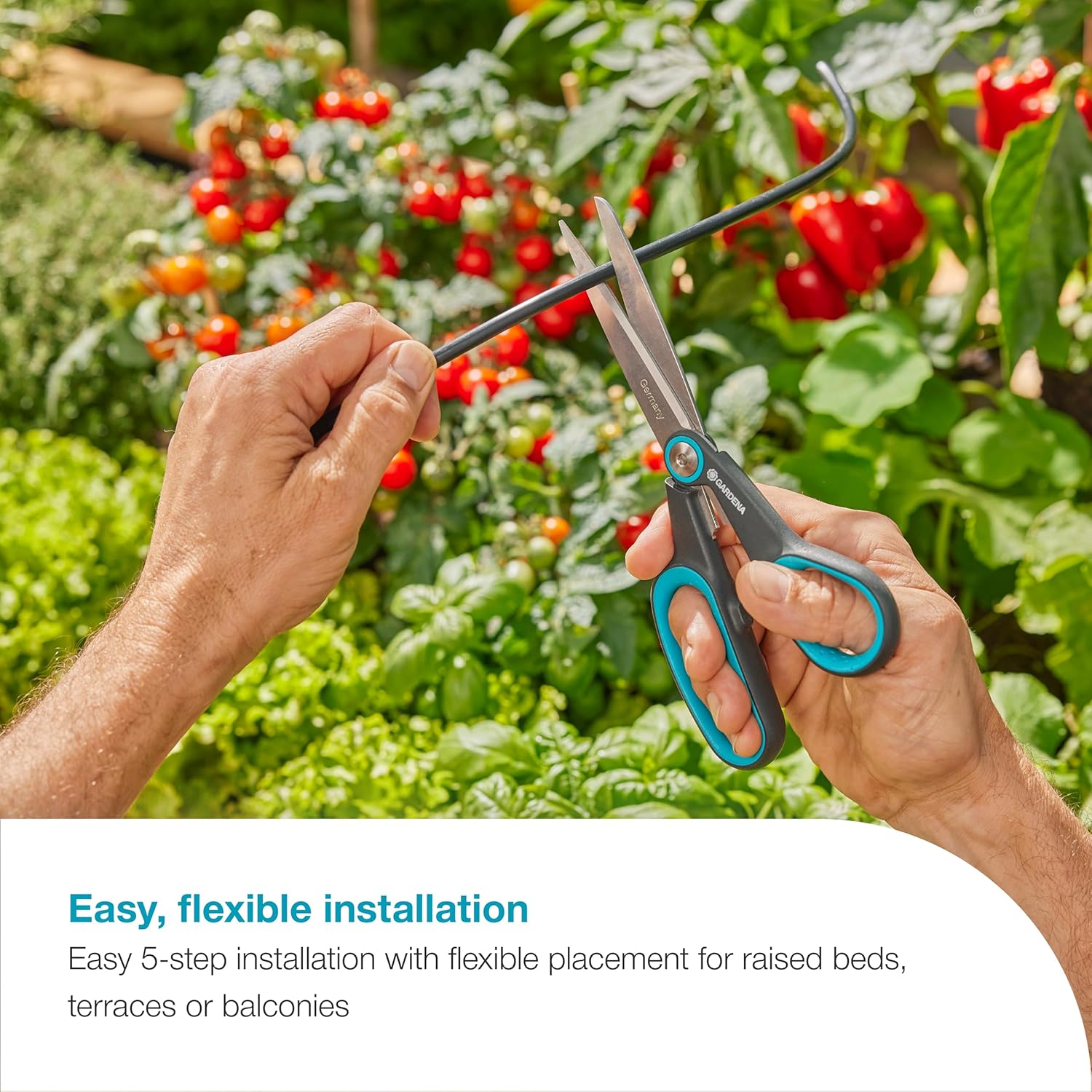 Automated Watering System