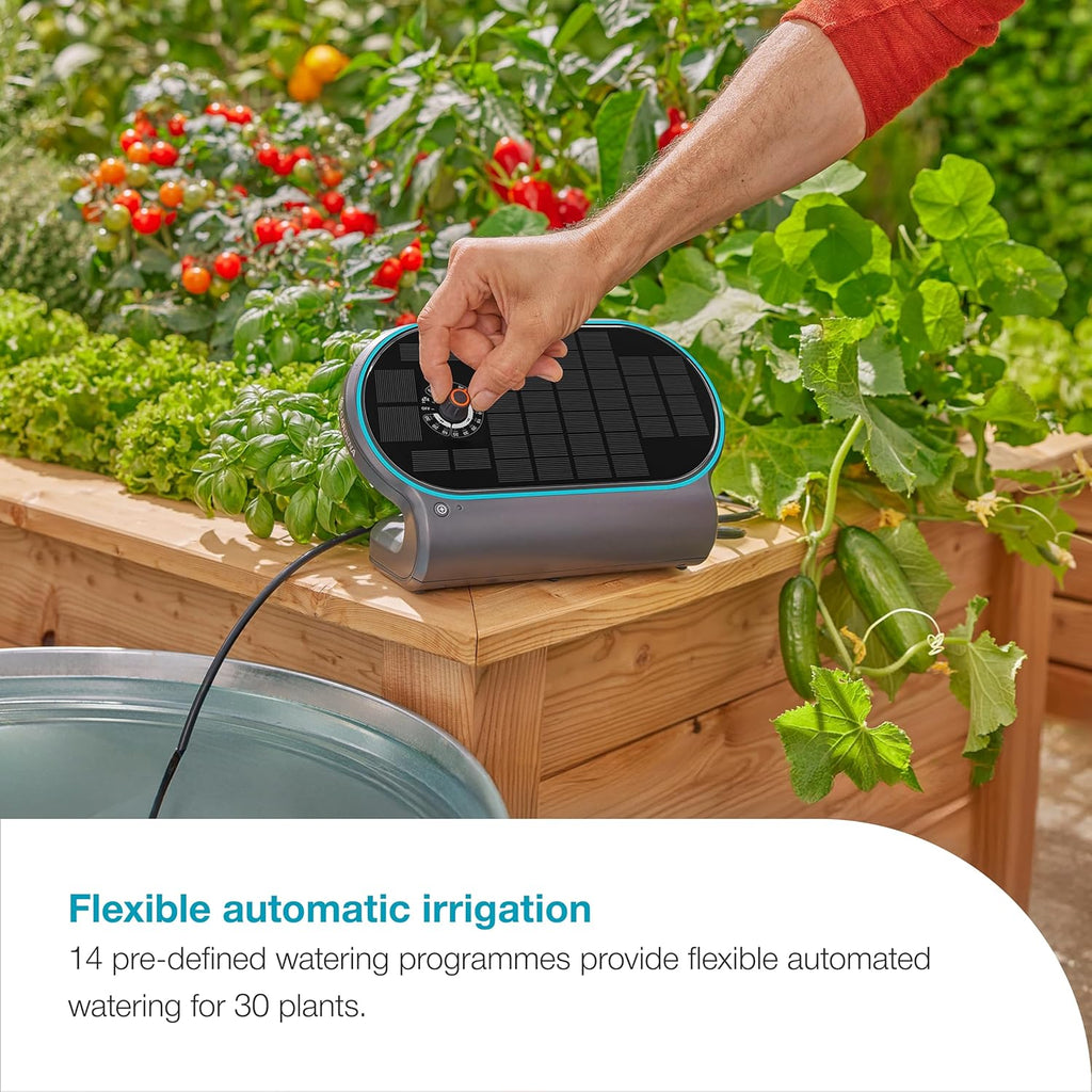 Automated Watering System