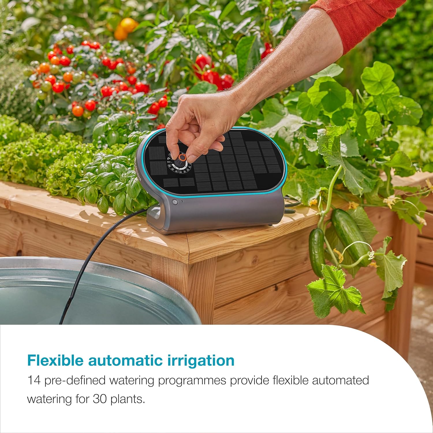 Automated Watering System