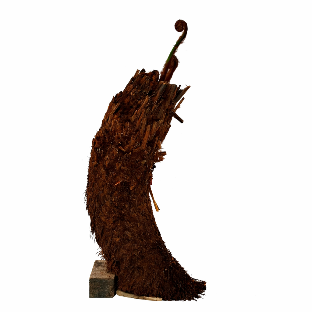 4ft Tree Fern - Dicksonia Antarctica