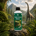 HSK Tree Fern Feed